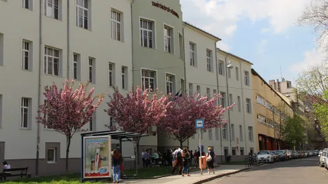 Street view of tan academic building with many windows, lined by trees with purple leaves