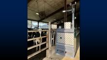 Dairy cow next to the newly minted GreenFeed machine at Pioneer Farm.