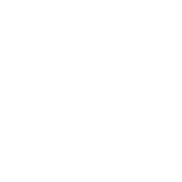 Washington Center Internship Program