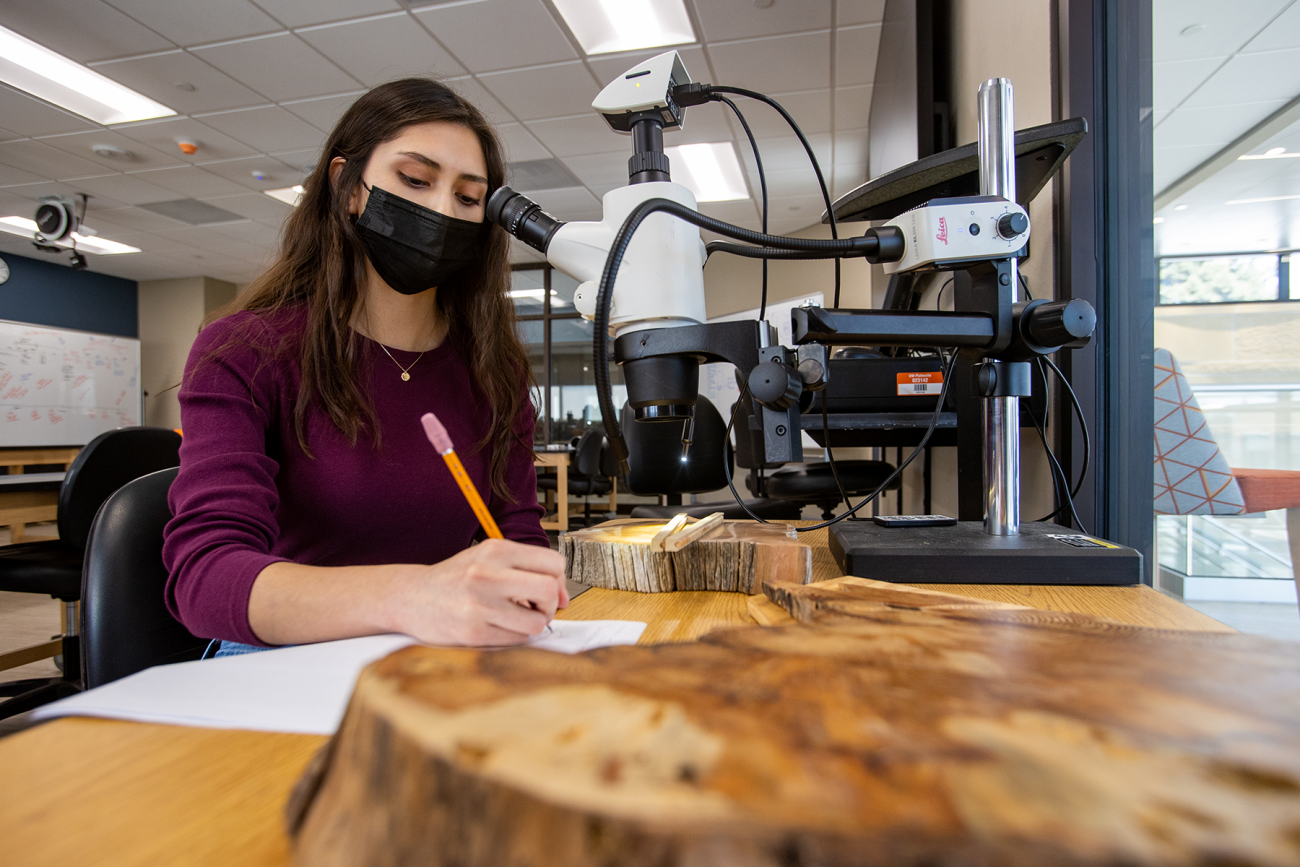 Students taking tree core sample