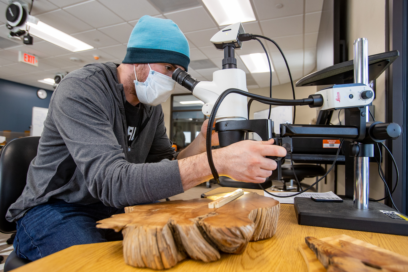 Students taking tree core sample