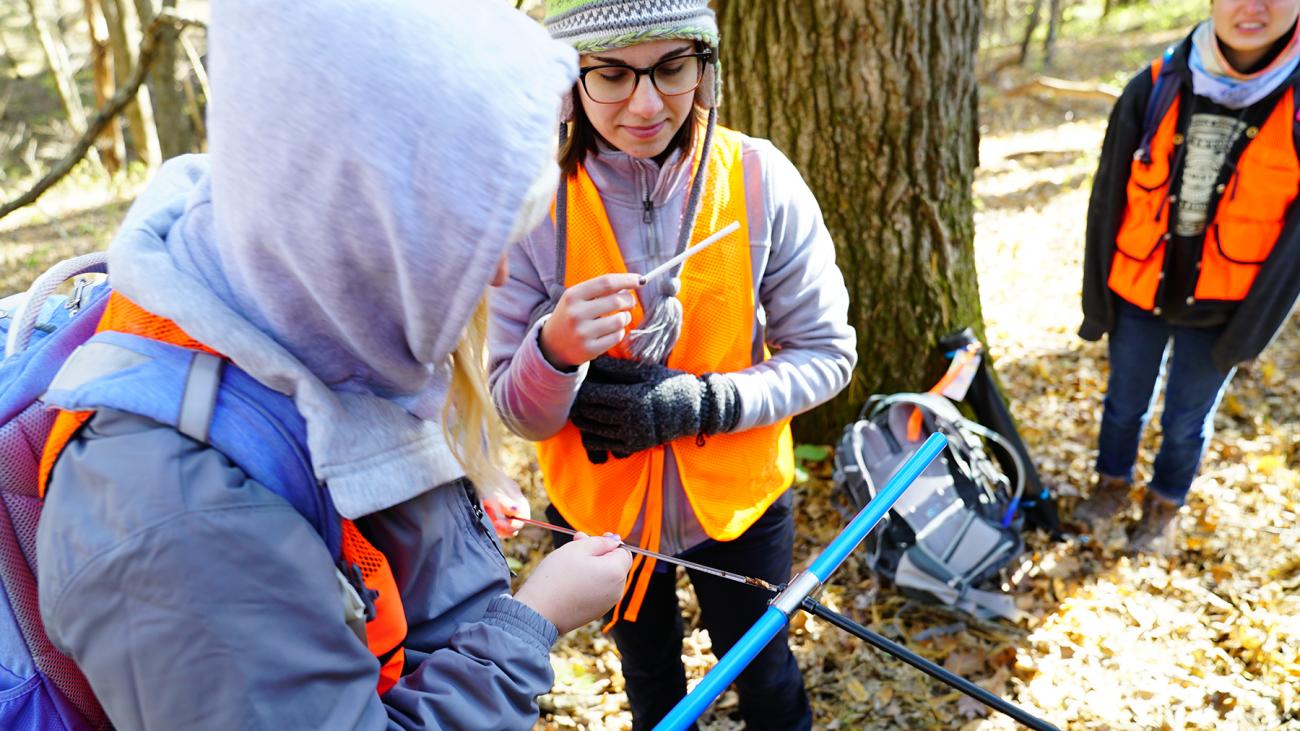 Student collecting tree core sample