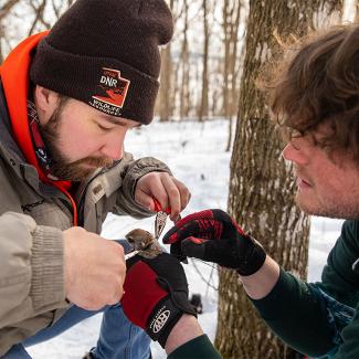 Students put tracker on squirrel