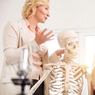 person studying skeleton