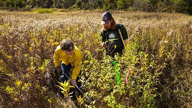 Reclamation, Environment And Conservation | UW-Platteville