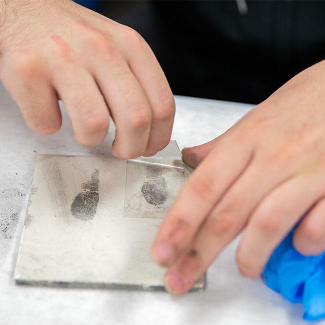 fingerprinting lab experience